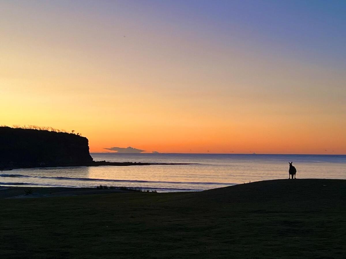 Alexander'S Cottage, Pebbly Beach East Lynne Экстерьер фото